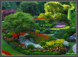 20-Of-The-Most-Beautiful-Nature-Made-And-Man-Made-Flower-Gardens-In-The-World-71